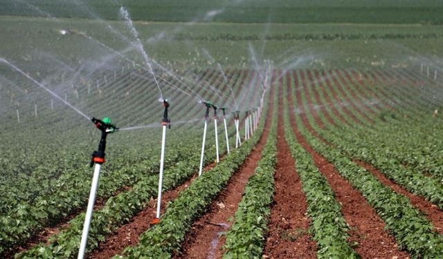 Bu yıl çiftçiler paralarını erken alabilir