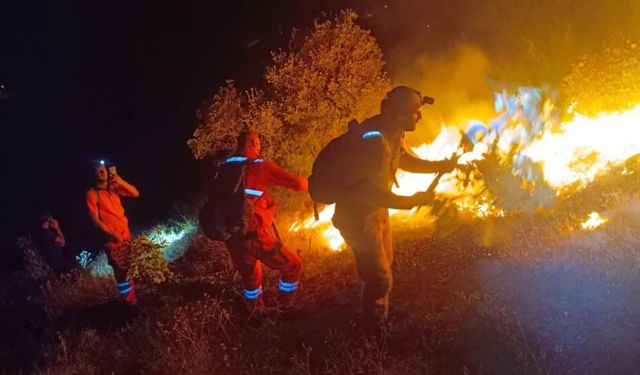 Şemdinli’de orman yangını: 15 ev boşaltıldı