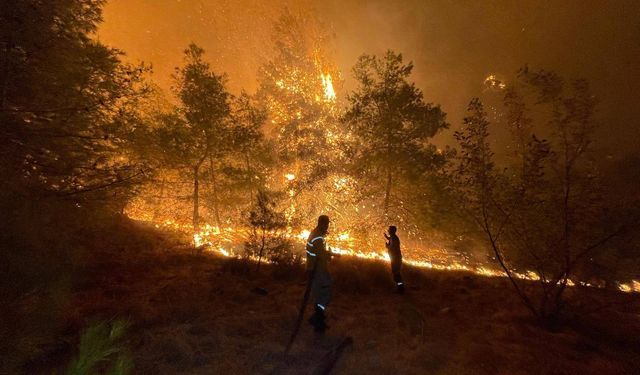 Antalya'nın Alanya ilçesindeki orman yangınına müdahale sürüyor