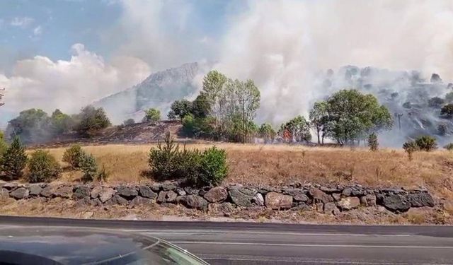 Sivas'ta ağaçlık alanda yangın