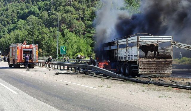 Büyükbaş hayvan yüklü tırda yangın çıktı