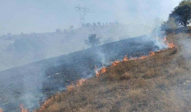 Tokat'ta makilik alanda yangın