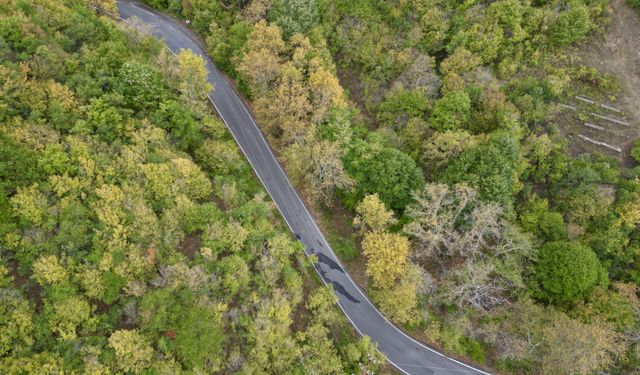 Ganos Dağı eteklerindeki ormanlar sonbahar renklerine bürünmeye başladı