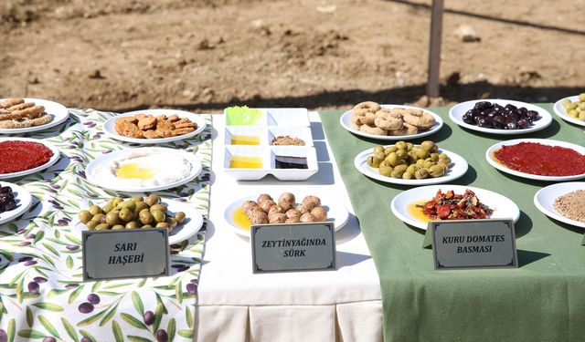 Hatay'da 9. Zeytin, Zeytinyağı ve Gastronomi Festivali başladı