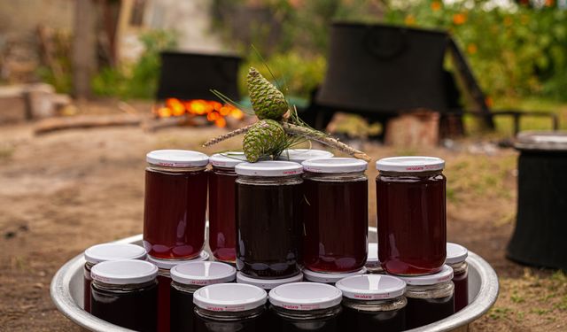 Kozak Yaylası'nda kadınlar çam kozalağı pekmezini imece usulü hazırlıyor