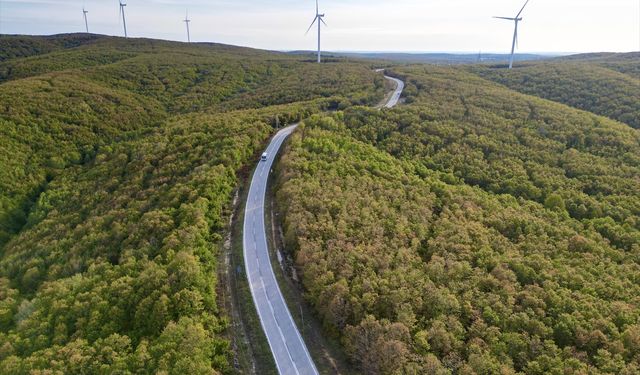Tekirdağ'da ormanlarda sonbahar renkleri hakim oldu