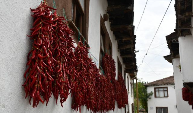 Batı Akdeniz'in ihracat şampiyonu biber oldu