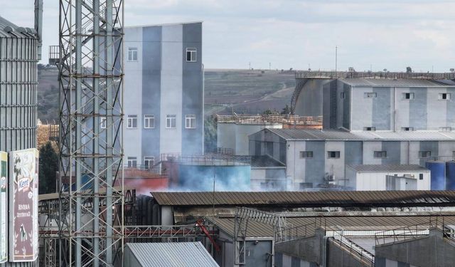 Edirne'de sıvı yağ fabrikasında patlama