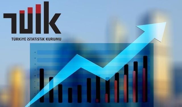 TÜİK Başkanlığına Gelir İdaresi Başkan Yardımcısı Mehmet Arabacı atandı