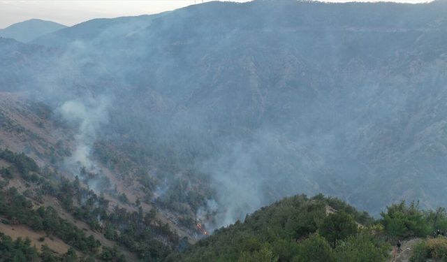Hatay'da çıkan orman yangını kontrol altına alındı