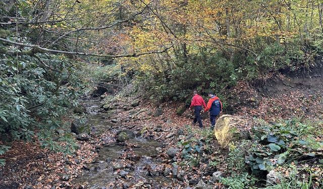 Kastamonu'da kaybolan anne ve oğlunu arama çalışmaları sürüyor