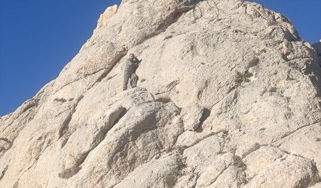 Van'da kayalıklarda mahsur kalan kişiyi AFAD ekipleri kurtardı