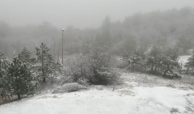 Sinop'un yüksek kesimlerine kar yağdı