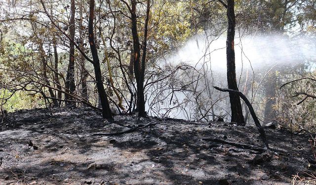 Hatay'da çıkan orman yangını kontrol altına alındı