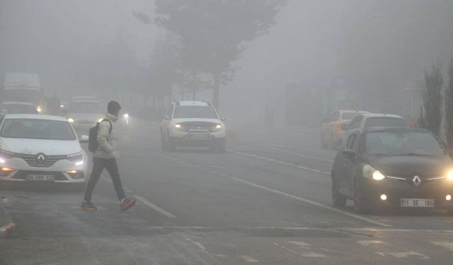 Erzurum ile Ardahan'da sis ve soğuk hava etkili oldu