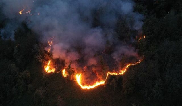 İtalya'nın Sicilya Adası orman yangınlarıyla mücadele ediyor