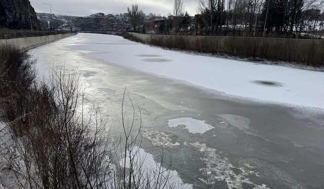 Ardahan ve Kars'ta soğuk hava dondurdu