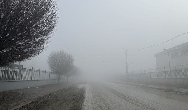 Iğdır'da sis, Kars ve Ardahan'da soğuk hava etkili oluyor