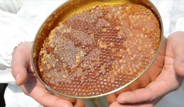Doğu Karadeniz'in 11 aylık bal ihracatı 1,9 milyon doları aştı