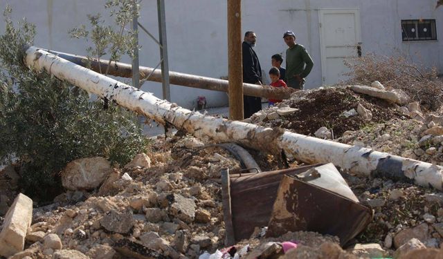 Katil İsrail, işgal altındaki Batı Şeria'da bir haftada 1608 zeytin ağacını kökünden söktü