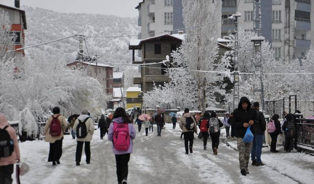 Bitlis'te eğitime kar engeli