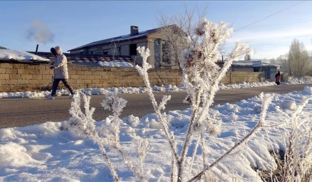 Doğu Anadolu'da dondurucu soğuklar yaşamı olumsuz etkiliyor
