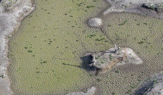 İzmir'de barajlar alarm veriyor!