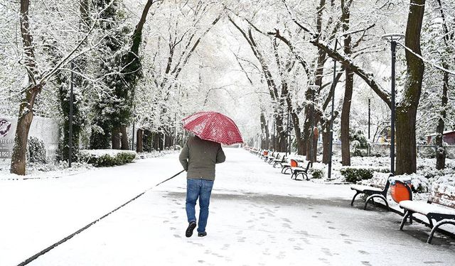 Erzurum için 7 Günlük Hava Durumu: Bu Hafta Hava Nasıl Olacak?