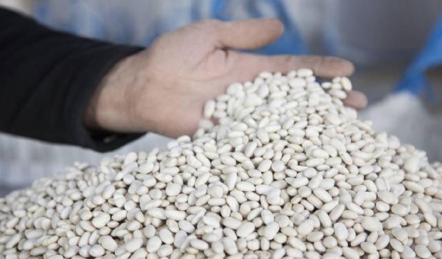 DMM, 'kuru fasulye krizi' iddiasını yalanladı