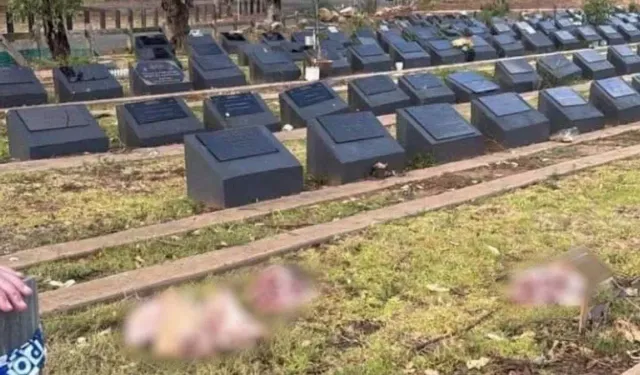 Avustralya'da Müslüman mezarlığına domuz başlı saldırı!