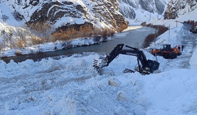 Çığ nedeniyle kapanan Hakkari-Van kara yolu açıldı