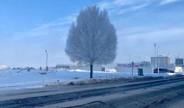 Erzurum, Ardahan ve Kars'ta dondurucu soğuklar etkili oluyor