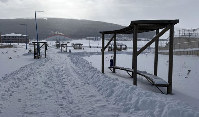 Erzurum, Ardahan, Kars ve Tunceli'de soğuk hava etkili oluyor