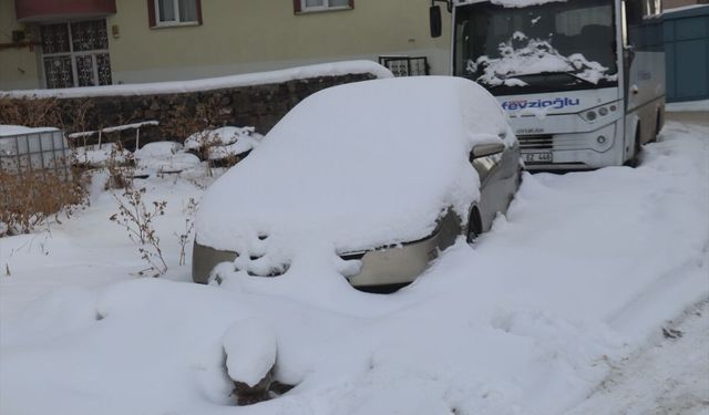 Erzurum, Kars ve Ardahan'da soğuk hava etkili oluyor