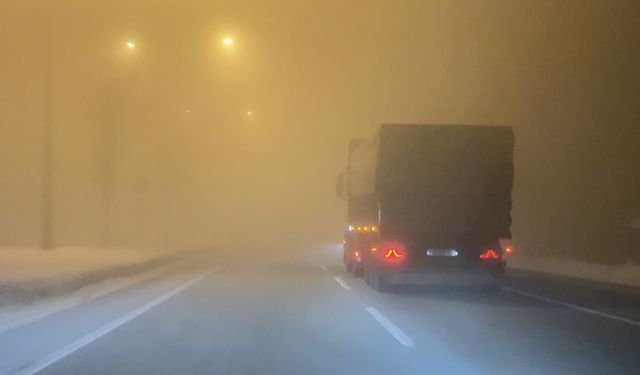 Erzurum'da yoğun sis etkili oldu