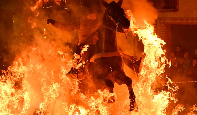 İspanya'da kutsanan atlar ateşin üzerinden atlatıldı