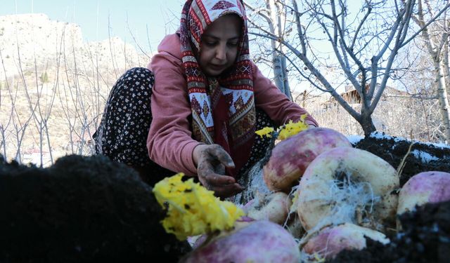 Sebzelerin tazeliğini toprak altında saklayarak koruyorlar
