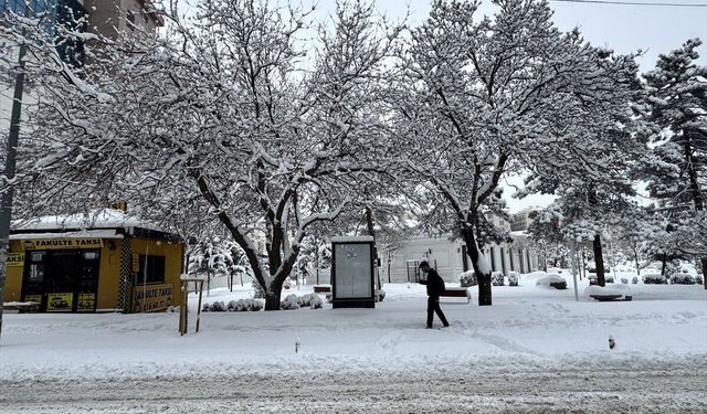 Bitlis, Muş ve Hakkari'de 1030 yerleşim yerine ulaşım sağlanamıyor