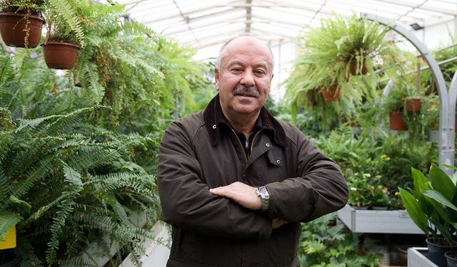 Yerli üretim hazır çim, ithalatı bitirerek maliyetlerin düşmesine katkı sağlıyor