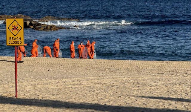 Avustralya'da köpek balıkları 2 çocuğa saldırdı