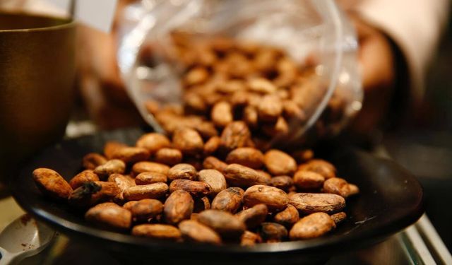 Türkiye'den kakao ihracatında rekor