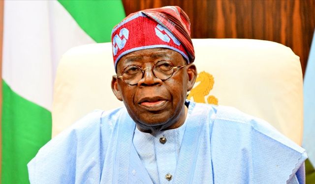 Nijerya Devlet Başkanı Türkiye’yi ziyaret edecek