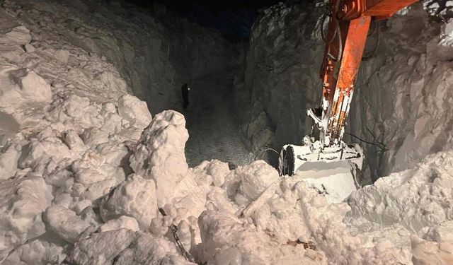 Erzurum, Ardahan ve Ağrı'da olumsuz hava koşulları etkili oluyor