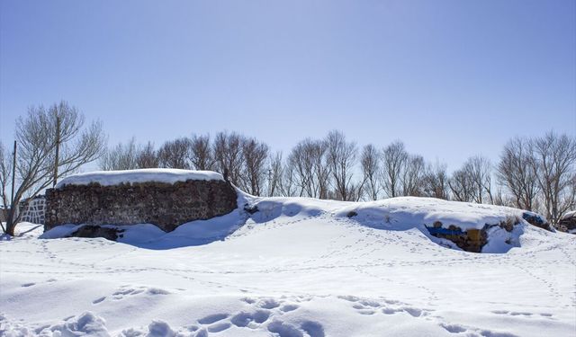 Erzurum, Ağrı ve Ardahan'da kar etkili oldu