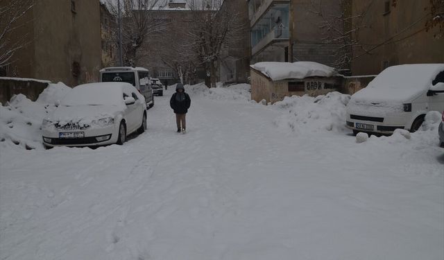 Van ve Muş'ta 68 yerleşim yerine ulaşım sağlanamıyor