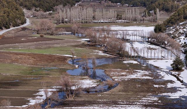 Kar suları taşkına yol açtı, köprü yıkıldı
