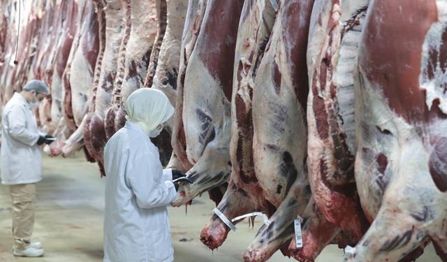 8 ilde 'kırmızı et' operasyonu: 30 şüpheli gözaltına alındı