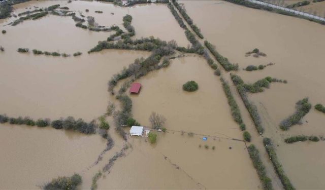 Muğla'da tarım arazileri sular altında kaldı