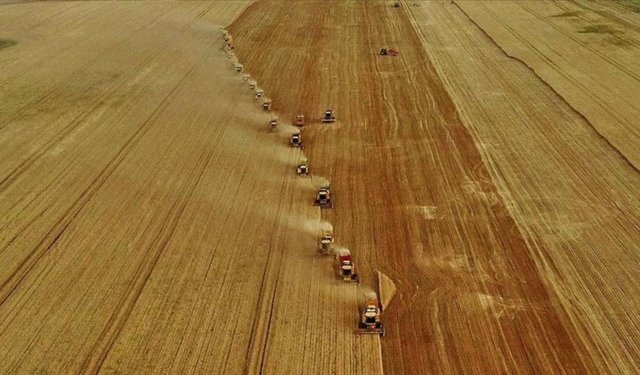 Tarıma 2,5 milyar liralık hibe desteği