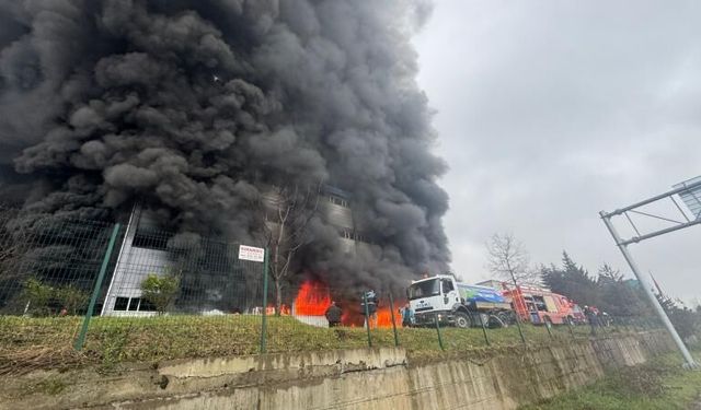 Trabzon'da fındık fabrikasında yangın